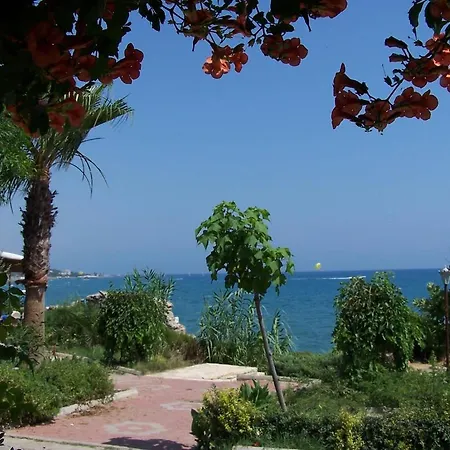 Guven Αλάνια
